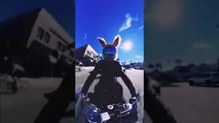 Смеялся до слез, смотреть до конца!!!