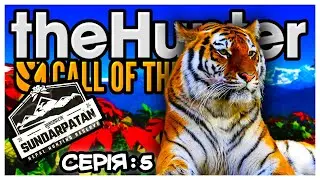 the Hunter Call of the Wild⛰️SUNDARPATAN🐯ПЕРШІ КРОКИ НА НОВІЙ МАПІ/СЕРІЯ 5