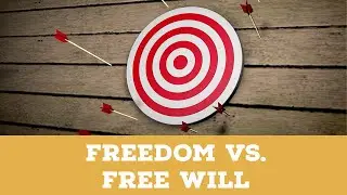 Freedom vs Free Will | Catholic Central Clip