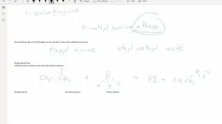 Amines and Amides