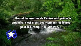 Citations de la Kybalio @lyricssongsreadye-pmc1423