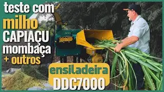 GRINDER DDC7000: what does it grind?