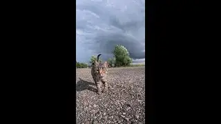 Айкидо. Недетские шотсы от детей. #айкидо #кенсинкан