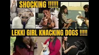 😱😲SHOCKING!!! 😱😲 - FULL VIDEO OF NIGERIAN LAGOS LEKKI GIRLS SLEEP1NG DOGS FOR 1.5 MILLION NAIRA