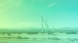 Road trip to California Beach