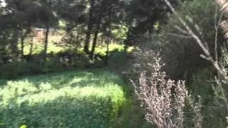20111130 144043