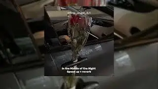 Middle Of The Night speed up + reverb