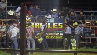 Toros #3 •TETELILLA 2019