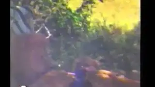 Eaten by Lionesses