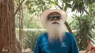 Sadhguru revisits the Trees he planted 18 year ago