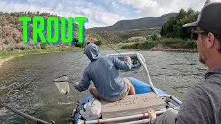 Escaping RUNOFF