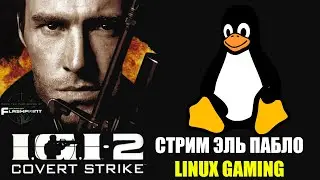 IGI 2 СТРИМ ЭЛЬ ПАБЛО LINUX GAMING