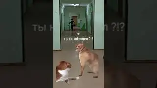 мой день часть 3 😤🤜🏻🫨