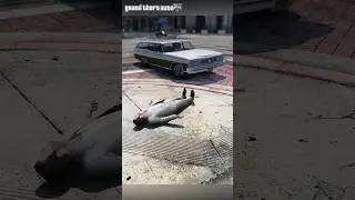 GTA 5 CRAZY DAY