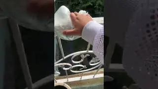 Надеюсь вас невзорвало🤣🤣🤣