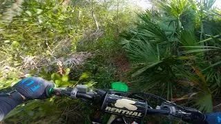 Overgrown single track and the Nissan Titan that couldn't