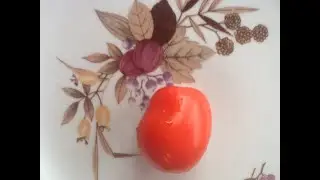 Томат 