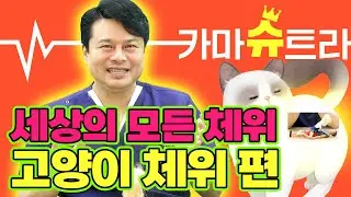 [EP.87] 여자들이 가장 좋아하는 체위는 뭘까옹? 🐈｜카마슈트라 7편