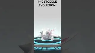 Cetoddle to Cetitan Evolution
