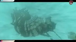 La Flecha Perfecta
