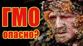 ГМО. Стоит ли бояться ГМО?
