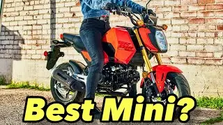 Top 5 Minimotos of 2024! NEW BIKES REVEALED!
