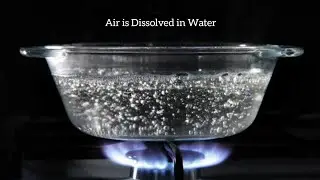 How will you show that Air is dissolved in Water/Solubility of Air in Water