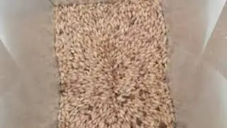 Помол солода перед варкой
