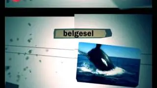 etv haber üssü