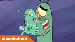 Bob l'éponge | Le nouvel animal de compagnie de Plankton | Nickelodeon France
