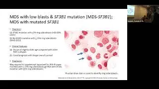 MDS: New Developments - Karen Yee, MD, MSc, FRCP(C) UN – Princess Margaret Cancer Centre