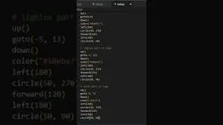 Display tiktok using Python code  