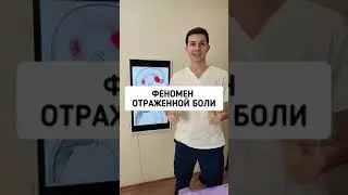 ФЕНОМЕН ОТРАЖЁННОЙ БОЛИ 