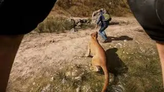 oh fug a gougar :DDDDD
