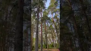 22 июня 2023 г.