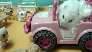 LITTLEST PET SHOP. HAMSTERS ICE CREAM. 