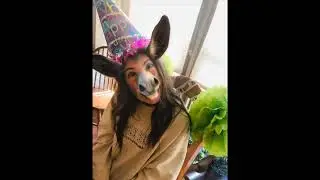 Pin the Tail on the Birthday Girl ( Donkey TF | Photo Animation ) WITH SOUND!
