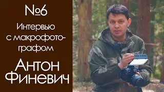 Интервью с макрофотографом. Антон Феневич