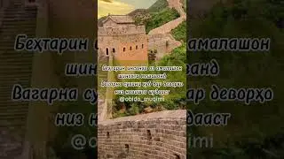 Беҳтарин инсонҳо аз амалашон шинохта мешаванд #tajik #tajikistan #насихат #таджикистан #пандуандарз