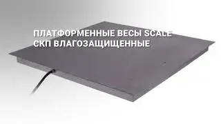 Платформенные влагозащищенные весы Scale СКН