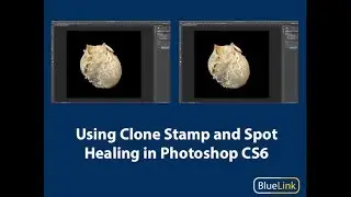 Using Clone Stamp and Spot Healing in Photoshop CS6