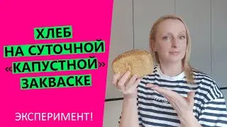 Bread on a DAILY 