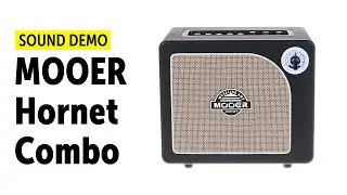 Mooer Hornet Combo Sound Demo (no talking)