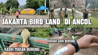 JAKARTA BIRD LAND ANCOL‼️HEALING BERSAMA ANEKA BURUNG-BURUNG CANTIK
