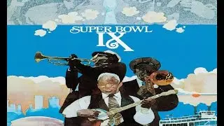 Minnesota Vikings • Super Bowl IX