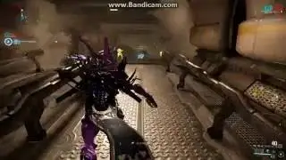 Warframe обзор Акстилето Прайм.