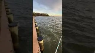 😱😱Pesca En El Mar🥶🥶😂😂😂DIA MUY FRIO