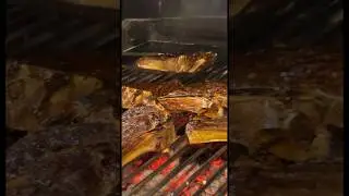 Шашлык от Маке #food #kebab #parrot #шашлык #cutebaby #funny