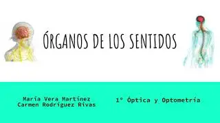 Órganos de los Sentidos