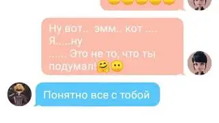 Переписка Леди Баг 💖 , Кота Нуара, Адриана :3